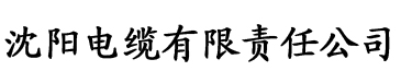 六零年代点外卖电缆厂logo